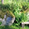 images/Schweden/Schweden 2010/IMG_0273.jpg